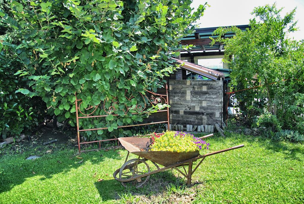 La Corte del Macero Hostal Castelfranco Emilia Exterior foto